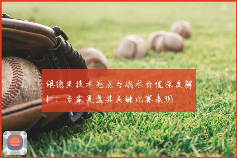 佩德里技术亮点与战术价值深度解析：专家复盘其关键比赛表现