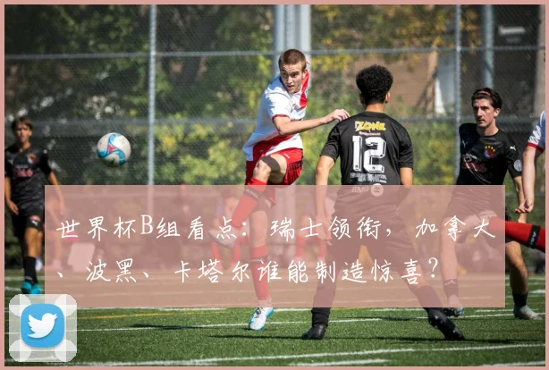 世界杯B组看点：瑞士领衔，加拿大、波黑、卡塔尔谁能制造惊喜？